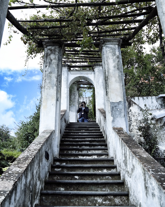 Insolita ItaliaGiardino della Minerva Salerno